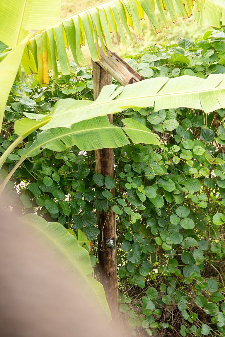 3 Suítes no Patacho - Azuca 09