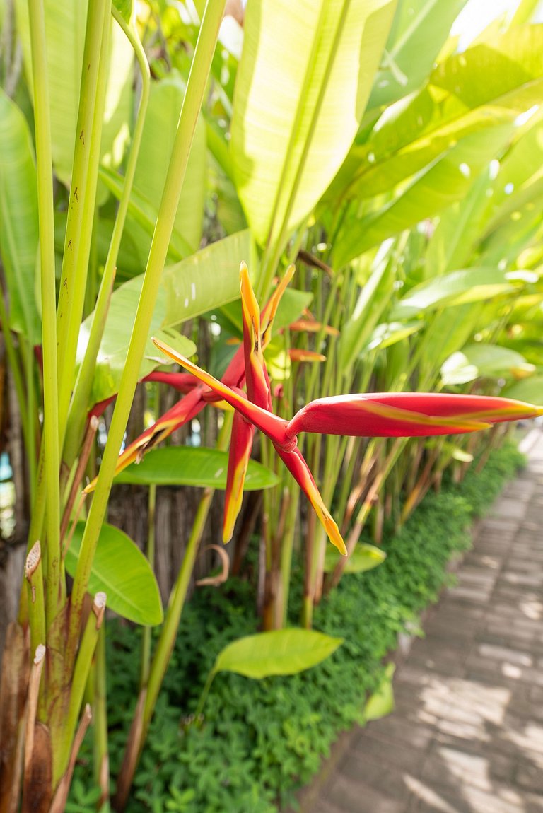 4 Suítes a 200m da Praia do Marceneiro
