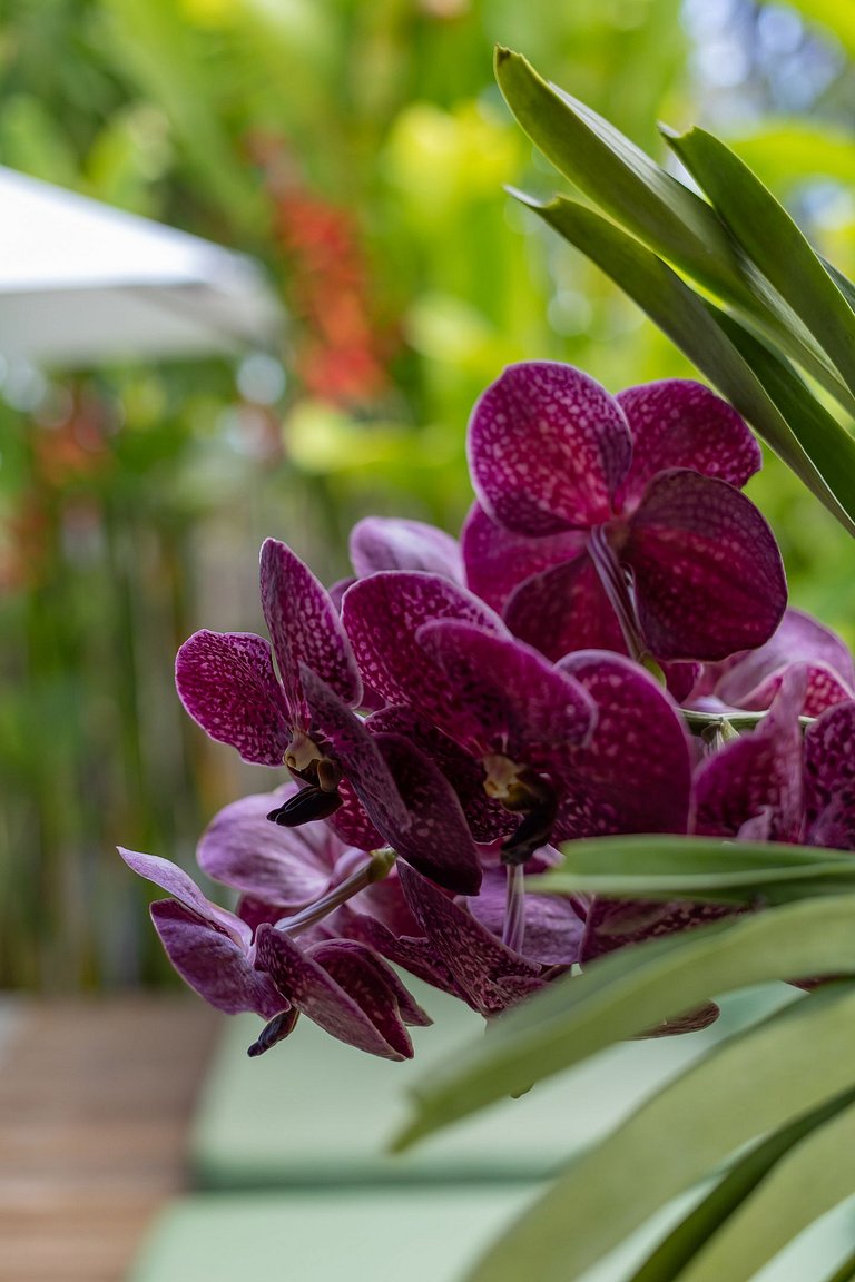 2 suítes c/ piscina privativa